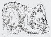 14